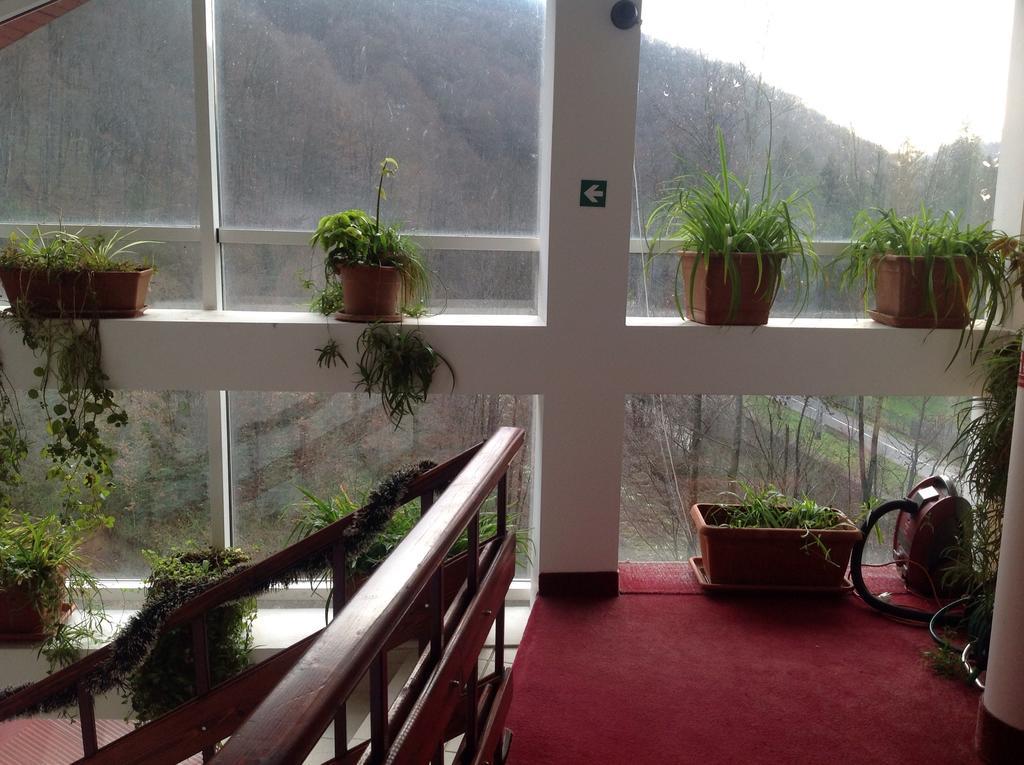 Hotel Panoramic Moneasa Quarto foto